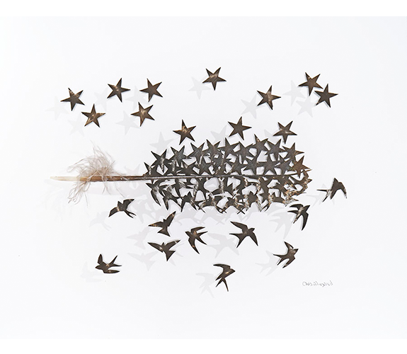 "Swallows and Stars" - Chris Maynard